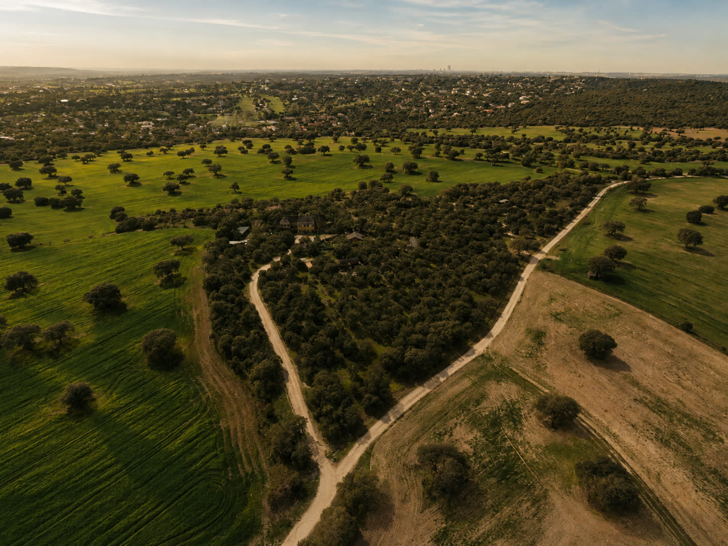 Las Charolas — vista aérea de la finca entre encinas